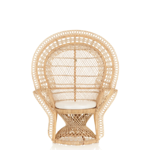 Peacock Chair