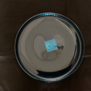 Blue Transparent Flat Tray