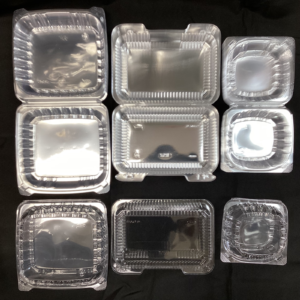 Hinged Clear Container