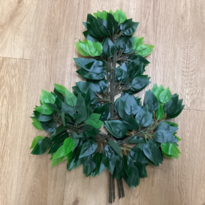 Green Leaf